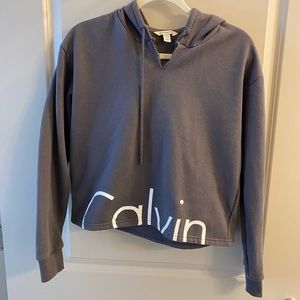 Calvin Klein cropped gray sweatshirt